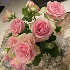 Meet your Posher, Marina